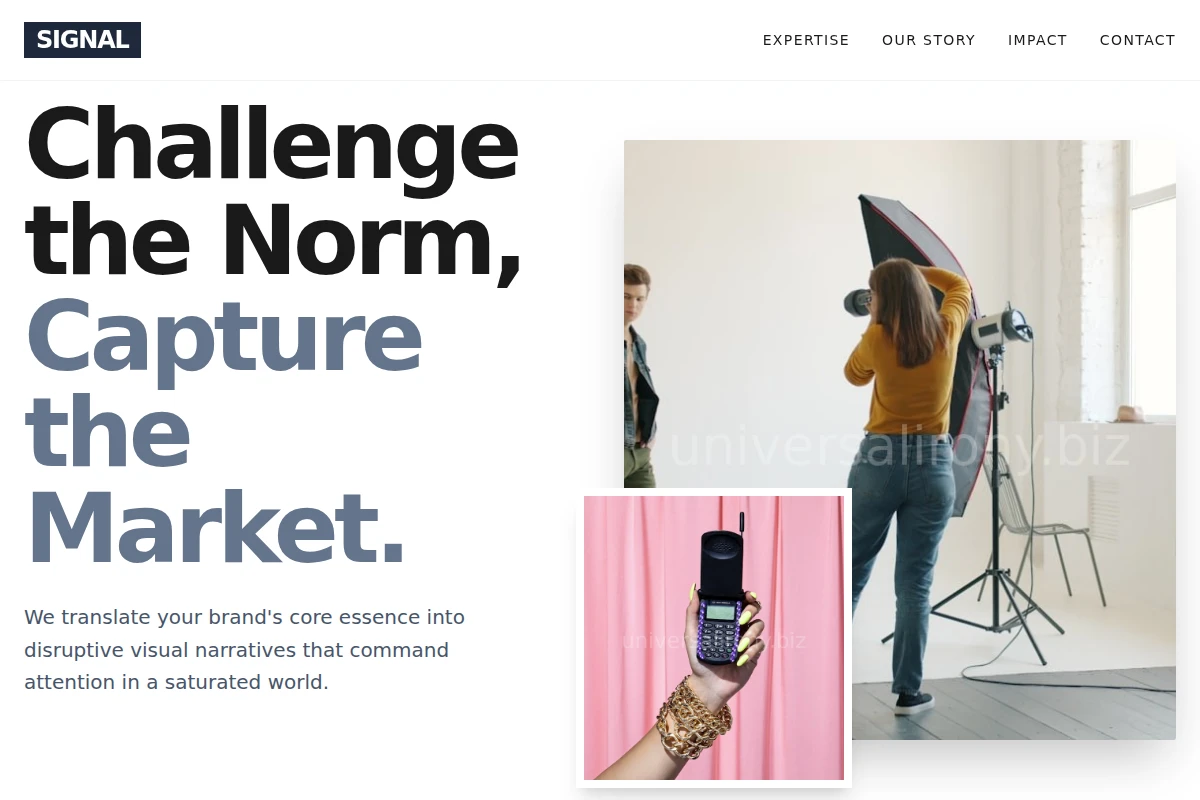 Signal Creative Direction